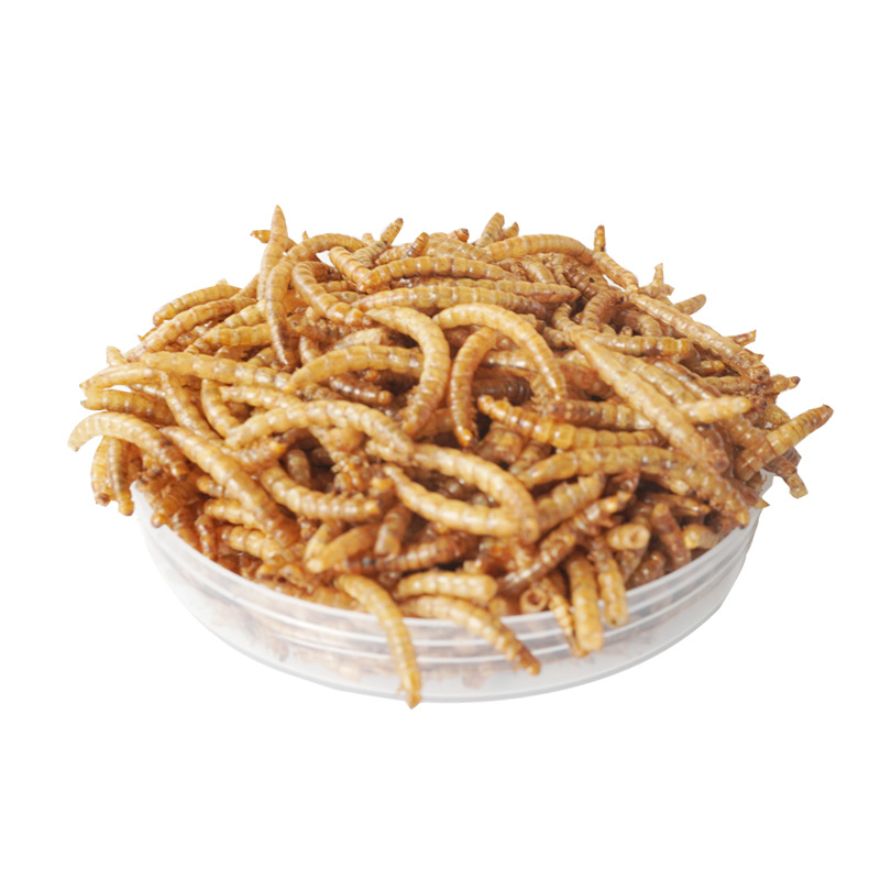 Food Snacks High In Protein - Snack ad Alto Contenuto Proteico per